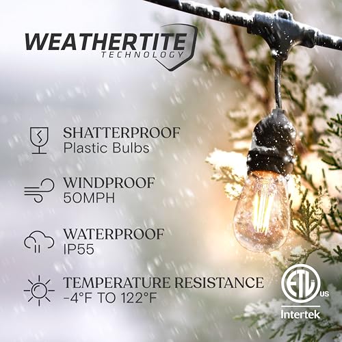 Ambience Pro 24 Ft Waterproof LED Outdoor String Lights (24 Foot)