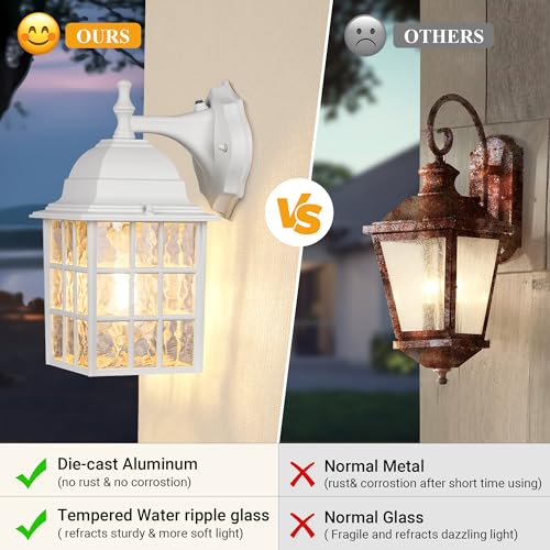 Dusk to Dawn Outdoor Light Fixture