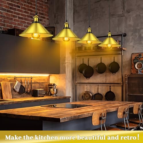 12 Pcs Industrial Pendant Light (12 Count)