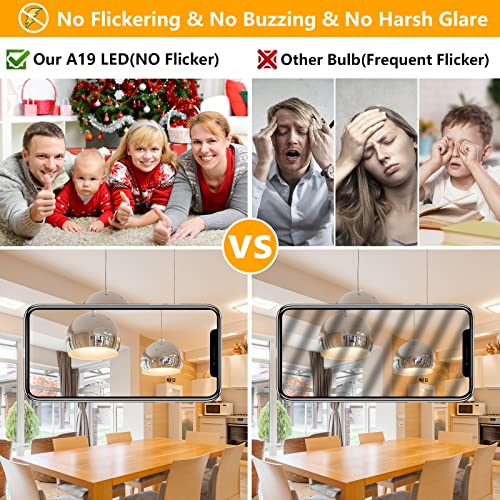 A19 LED Light Bulbs (4 Count)