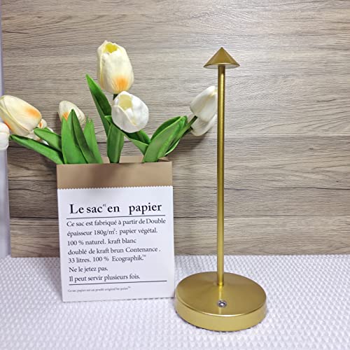 Cordless Table Lamps