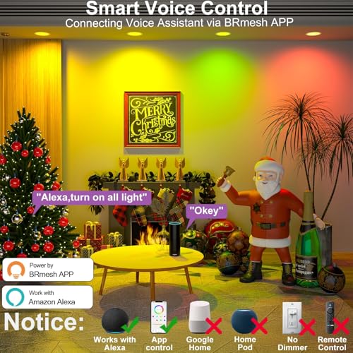 Smart Recessed Lighting Color Changing LED Downlight 4IN