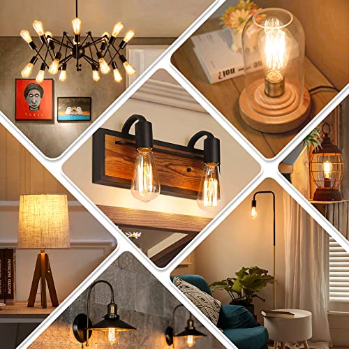 60 Watt Incandescent Edison Light Bulbs (4 Count)