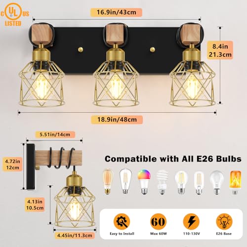 Black and Gold Vanity Light