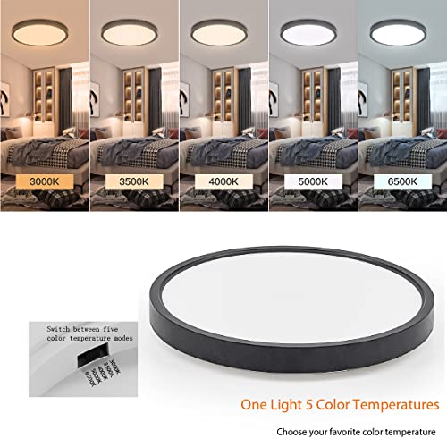 Surface Mount LED Ceiling Light 12 Inch (2 Count)