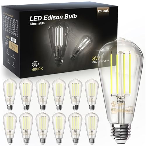 12 Pack Edison LED Light Bulbs (12 Count)