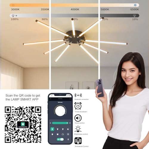 Modern LED Ceiling Light