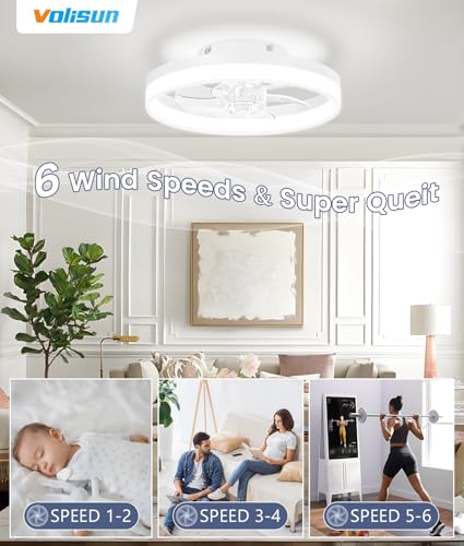 13 inch Small Ceiling Fans with Lights and Remote