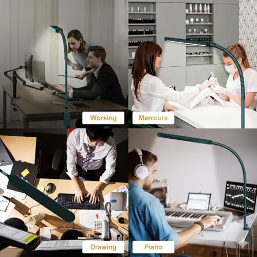LED Desk Lamp