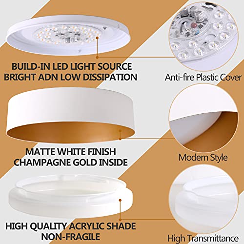 Flush Mount Ceiling Light