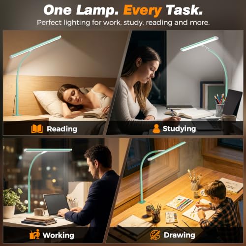 LED Desk Lamp with Clamp