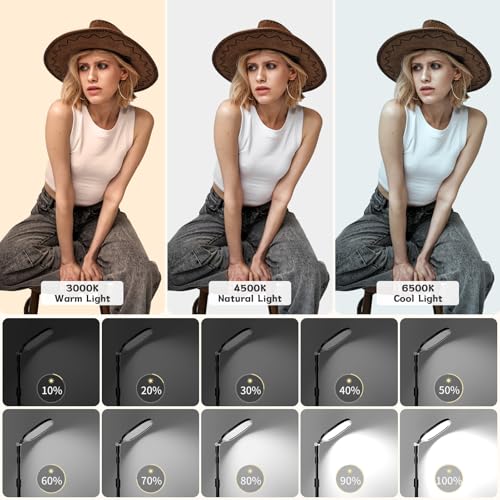 2 Packs Video Conference Lighting Kits (2 Count)