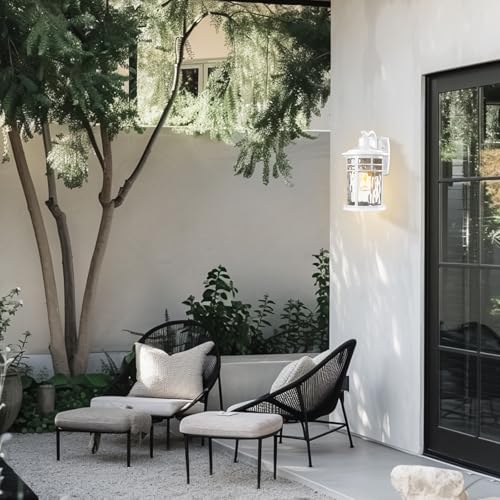 Outdoor Wall Light Fixture (2 Count)