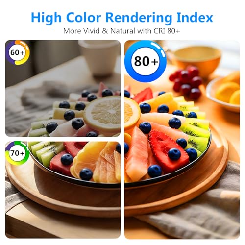 A19 LED Light Bulbs (12 Count)