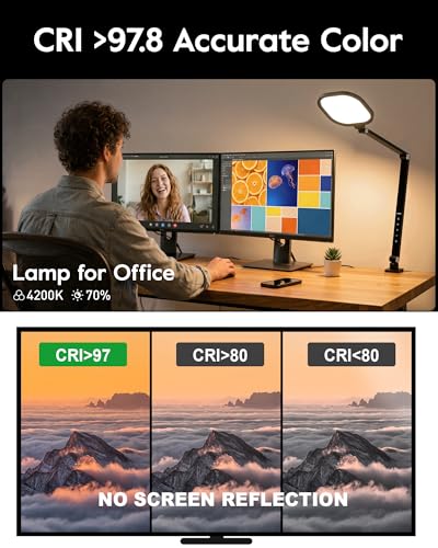 Desk Lamp for Home Office with Clamp