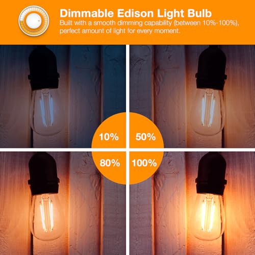 8 Pack Vintage LED Edison Bulbs (8 Count)