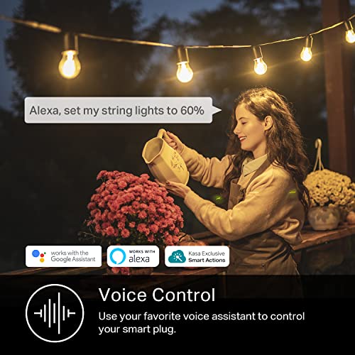 Kasa Outdoor Smart Plug KP401