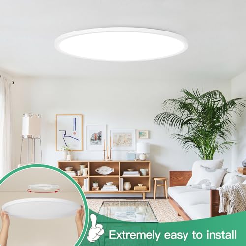 19 Inch Dimmable Large Flush Mount Ceiling Light Fixture