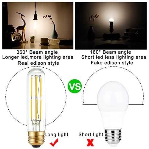 T10 E26 Bulb Edison Light Bulbs (6 Count)