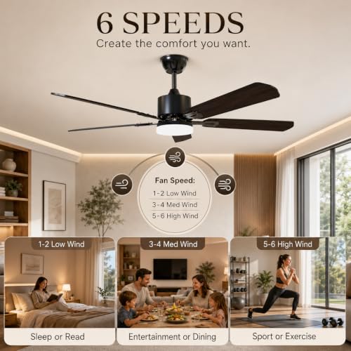 52 inch Ceiling Fans with Lights and Remote Control (Black / 52 inches)