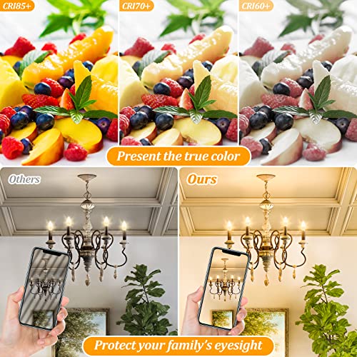 E12 LED Candelabra 40 Watt Equivalent Light Bulbs