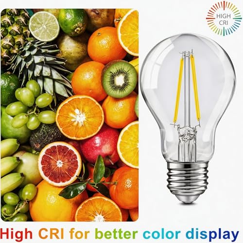 6 Pack A19 Vintage LED Edison Bulbs (6 Count)