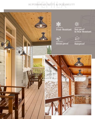 12" Outdoor Semi Flush Ceiling Lights (2 Count)