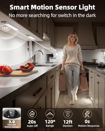 3 Pack 10inch Under Cabinet Lighting with Remote (3 Count)