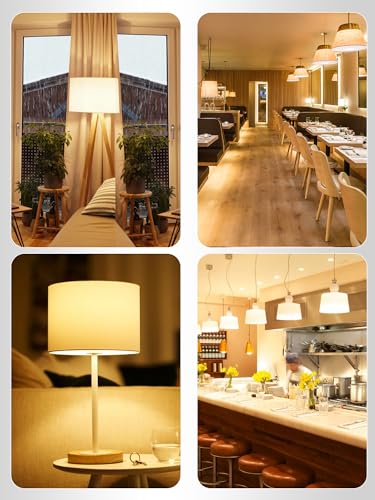 3 Pack LED Light Bulbs 100 Watt Equivalent (3 Count)