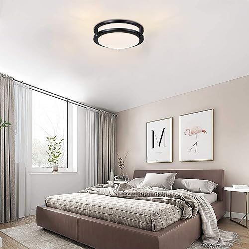 2 Pack Black Ceiling Light (2 Count)