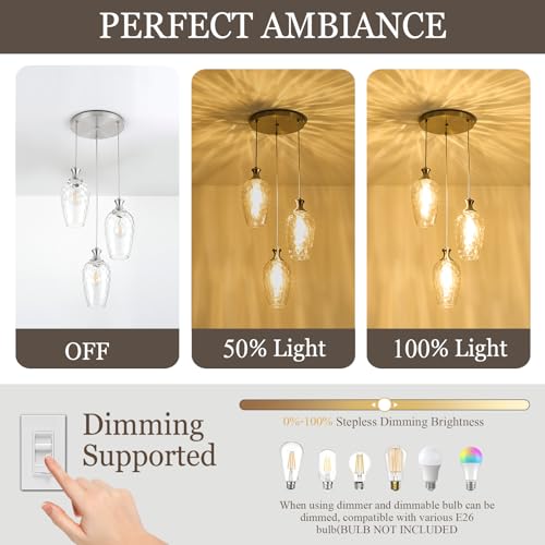 3 Light Cluster Pendant Lighting