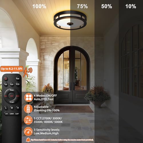 Outdoor Motion Sensor Ceiling Light with Remote