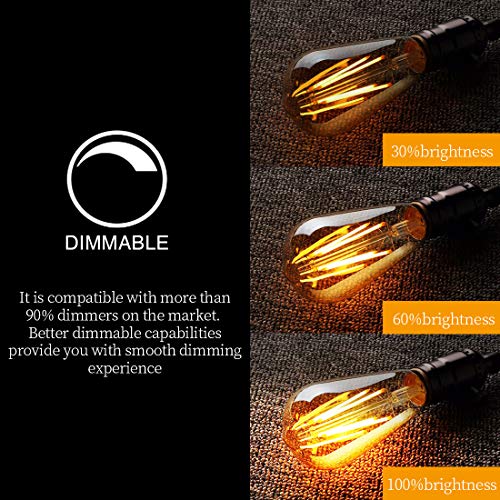 LED Edison Bulbs