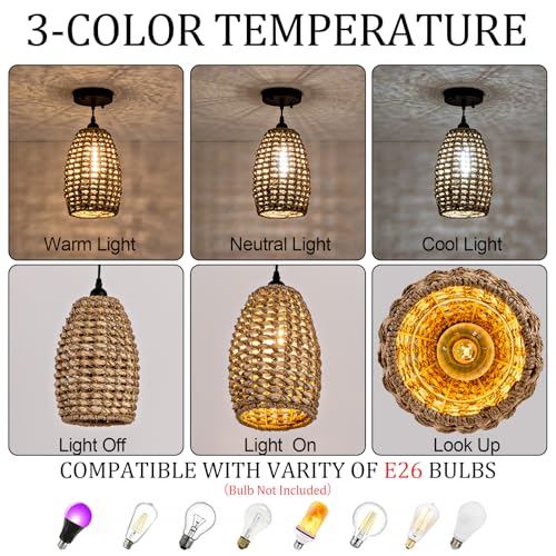 Mini Rattan Pendant Light (3 Count)