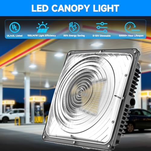 LED Canopy Light 60W (60W 1PACK ADJUSTABLE)