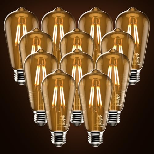 Edison Bulb ST58