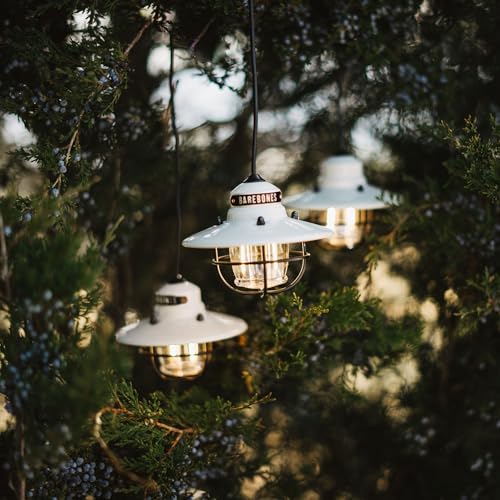 Edison Pendant String Lights