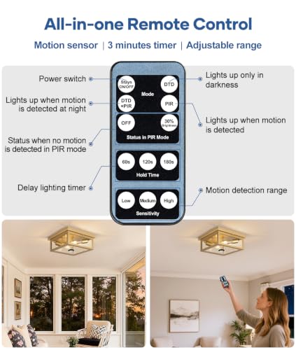 Motion Sensor Outdoor Ceiling Light with Remote