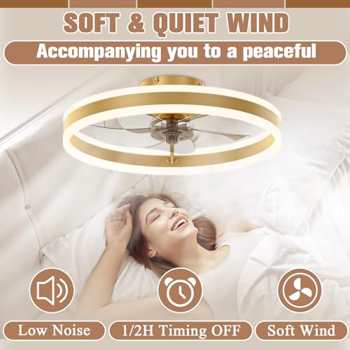 Low Profile Ceiling Fans with Lights and Remote