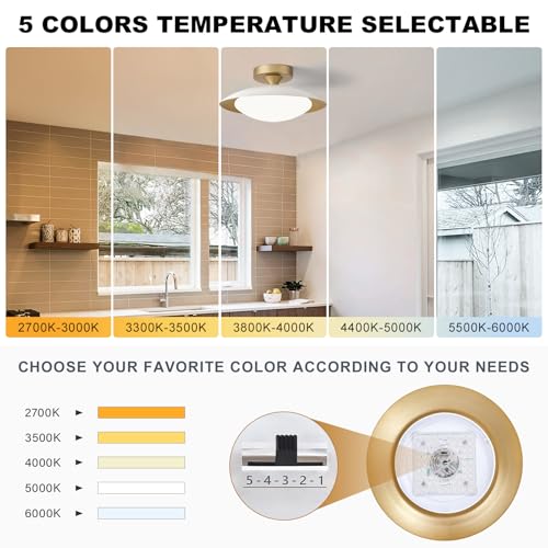 Dimmable Modern LED White and Gold Ceiling Light Fixture 11.81 in