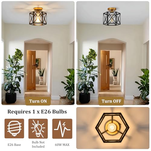 Modern Farmhouse Black and Gold Semi Flush Mount Ceiling Light 9.5 in