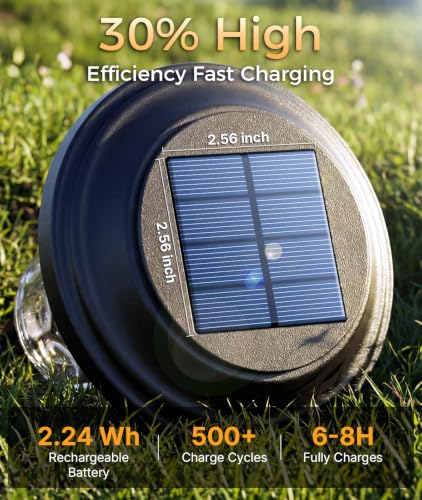 Solar Garden Lights 6 Pack