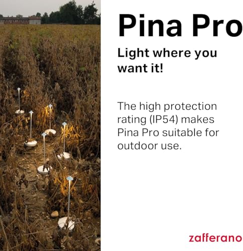 Pina Pro Rechargeable Cordless Lamp