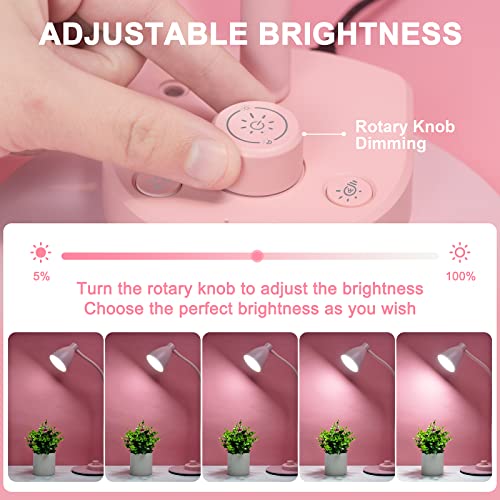 Cute Desk Lamp with USB Charging Port