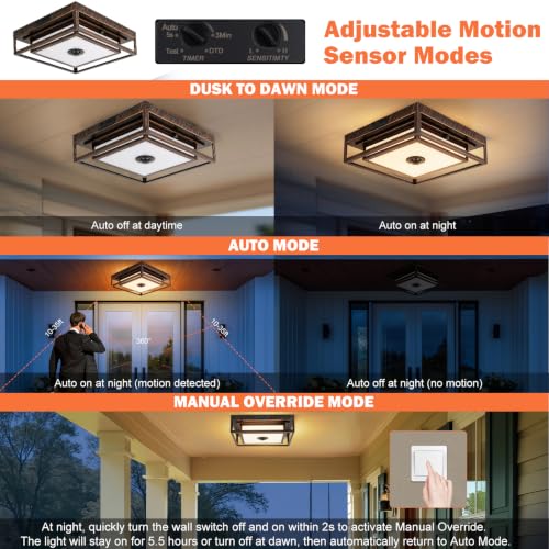 LED Motion Sensor Outdoor Ceiling Light Dusk to Dawn Black Brushed Gold