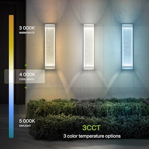 LED 24" Bubble Glass Wall Light Fixture (2 Count)