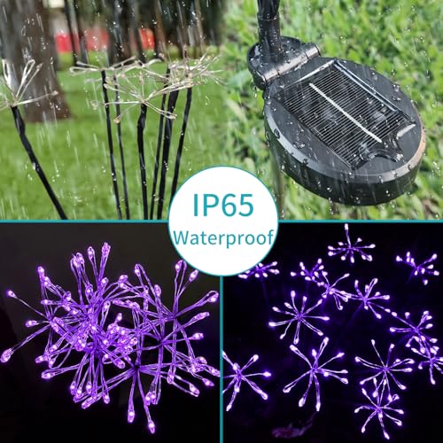 Solar Garden Lights (2 Count)