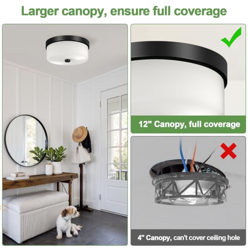 Black Flush Mount Ceiling Light Fixtures