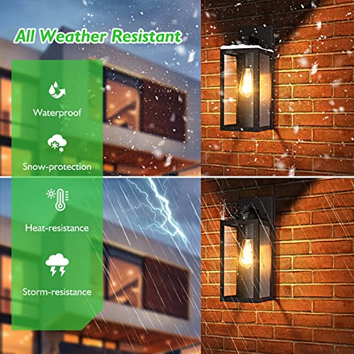 Outdoor Wall Light Fixture