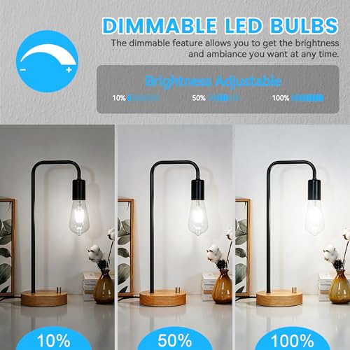 8 Pack Edison Light Bulbs 60W Equivalent (8 Count)